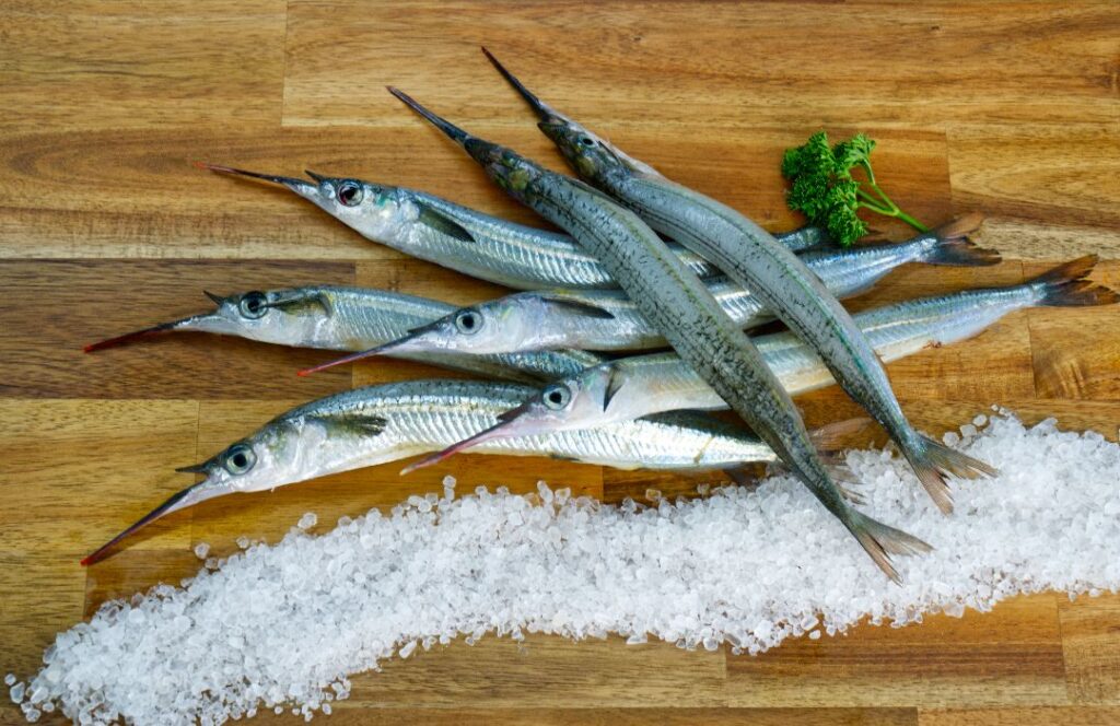 Garfish Whole - Adelaide Seafood