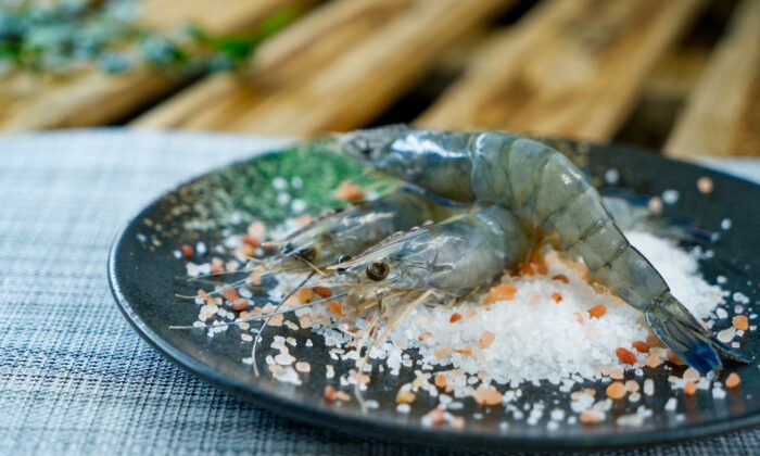 fresh-prawn-shop-adelaide-adelaide-seafood