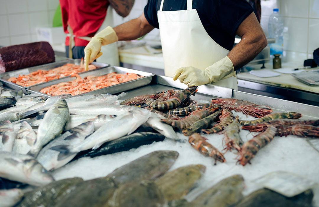 wholesale seafood